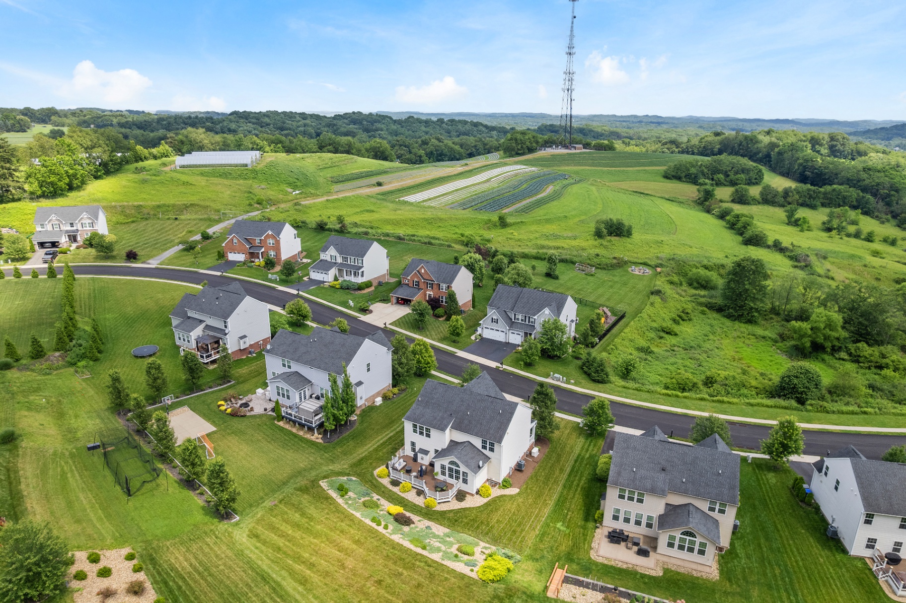 Suburban Hills Aerial